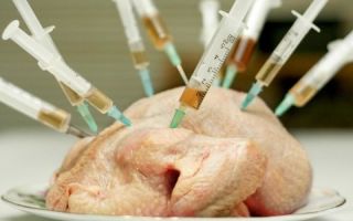 Антибиотики для кур — какие выбрать и как использовать?