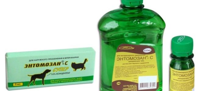Энтомозан с – как развести для кур?