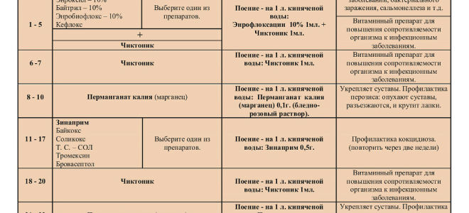 Профилактика болезней цыплят в домашних условиях — препараты и схемы пропойки