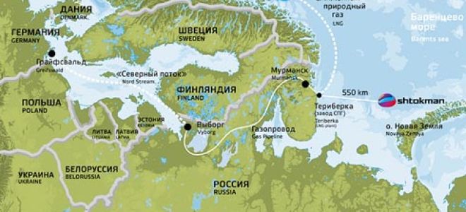 Штокмановское месторождение как проект современной индустрии россии