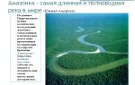 Амазонка самая большая и полнодовная река в мире