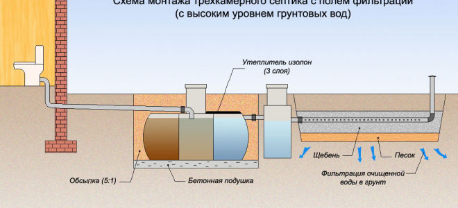 Септик для высокого уровня грунтовых вод: как выбрать и установить