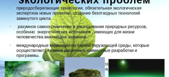 Ставрополь: краткая информация, экологическая ситуация, проблемы и их решение